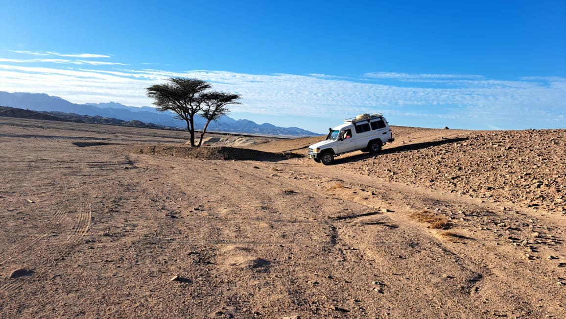 Jeep bei einer Wüstensafari in den goldenen Sanddünen